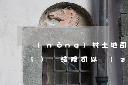 農(nóng)村土地司法可以拍賣(mài)嗎(法院可以執(zhí)行拍賣(mài)農(nóng)村宅基地嗎)