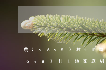 農(nóng)村土地問題找誰解決(農(nóng)村土地家庭糾紛找誰解決)