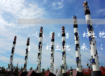 農(nóng)村土地怎么繼承(農(nóng)村土地繼承權(quán)怎么繼承)
