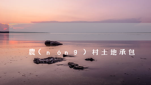農(nóng)村土地承包