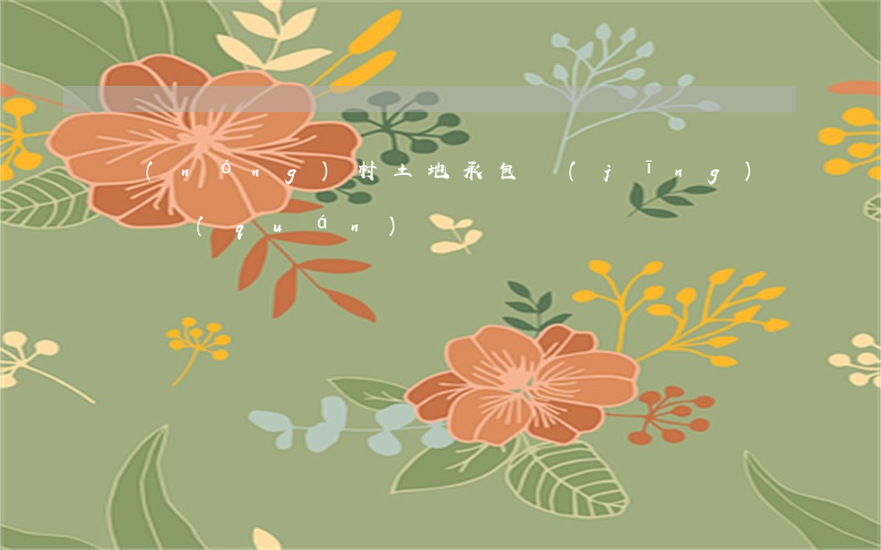 農(nóng)村土地承包經(jīng)營權(quán)