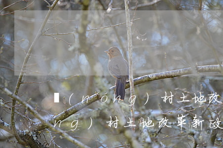 農(nóng)村土地改革新政策(農(nóng)村土地改革新政策2020)