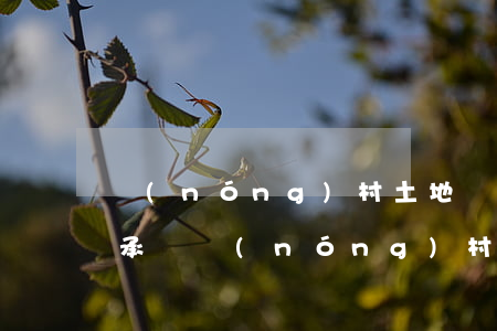 農(nóng)村土地權(quán)利繼承嗎(農(nóng)村土地所有權(quán)可以繼承嗎)