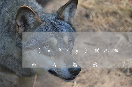 農(nóng)村土地確權(quán)后公職人員能繼承嗎(農(nóng)村土地所有權(quán)可以繼承嗎)