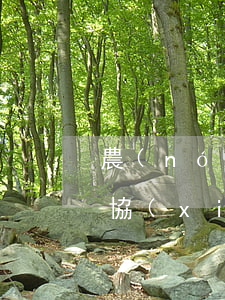 農(nóng)村土地轉(zhuǎn)讓協(xié)議范本怎么寫