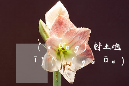 農(nóng)村土地開墾法律法規(guī)(關(guān)于農(nóng)民開墾荒地,而使用權(quán)歸農(nóng)民所有的有哪些法律法規(guī))