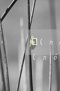 農(nóng)村在基地可以買賣違法嗎(農(nóng)村宅基地怎么購買)