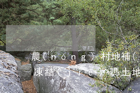 農(nóng)村地補(bǔ)本法院可以凍結(jié)嗎(土地直補(bǔ)法院可不可以凍結(jié))