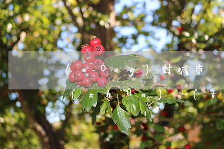 農(nóng)村城市賠償標(biāo)準(zhǔn)統(tǒng)一(統(tǒng)一城鄉(xiāng)居民賠償標(biāo)準(zhǔn))