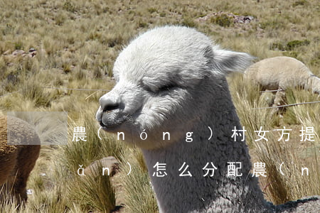 農(nóng)村女方提出離婚財產(chǎn)怎么分配(農(nóng)村離婚財產(chǎn)如何分割房子)