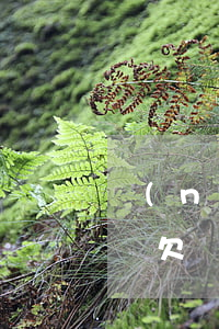 農(nóng)村孩子欠了網(wǎng)貸(欠網(wǎng)貸不還的村子)