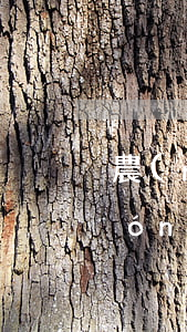 農(nóng)村宅基地一平米補償(農(nóng)村宅基地占用賠償標準)