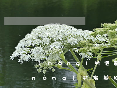農(nóng)村宅基地兒子能繼承嗎(農(nóng)村宅基地房子女兒有繼承權嗎)