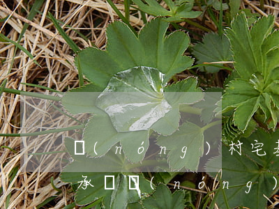 農(nóng)村宅基地有分家單可以走繼承嗎(農(nóng)村分戶后的子女可以繼承宅基地嗎)
