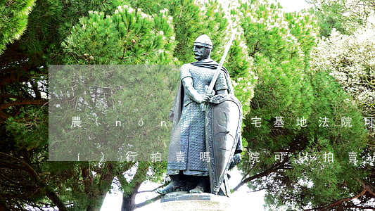 農(nóng)村宅基地法院可以執(zhí)行拍賣嗎(法院可以拍賣農(nóng)村集體土地使用權(quán))