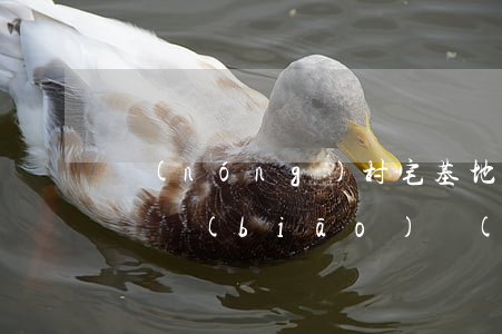農(nóng)村宅基地的拆遷補(bǔ)償標(biāo)準(zhǔn)是如何規(guī)定的