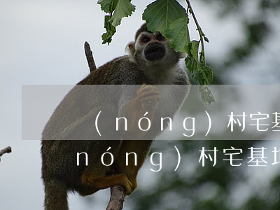 農(nóng)村宅基地糾紛處理辦法(農(nóng)村宅基地糾紛處理辦法管理法)