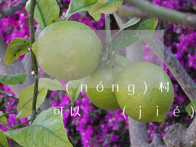 農(nóng)村專項(xiàng)法院可以凍結(jié)嗎