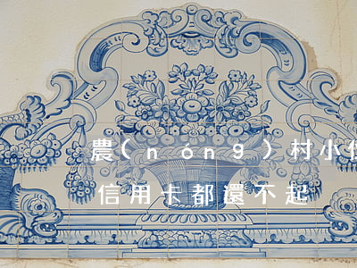 農(nóng)村小伙還不起信用卡(窮到連信用卡都還不起)