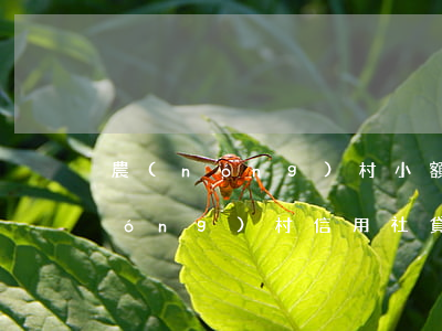 農(nóng)村小額貸款逾期不還(農(nóng)村信用社貸款逾期一個月,還能再貸款嗎)