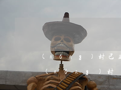 農(nóng)村已建好的違建房怎么處理(農(nóng)村蓋房子怎樣才算違建)