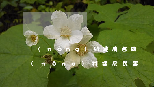 農(nóng)村建房合同糾紛如何起訴(農(nóng)村建房民事糾紛案例)