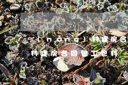 農(nóng)村建房合同(農(nóng)村建房合同包工包料)