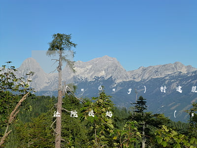 農(nóng)村建筑工人受傷拒絕賠償向法院提起訴訟時(shí),訴訟主體如何確定
