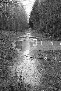 農(nóng)村房子怎么公證繼承權(quán)(農(nóng)村房屋繼承公證)