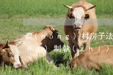 農(nóng)村房子法院可以強(qiáng)制執(zhí)行嗎(農(nóng)村房子法院可以強(qiáng)制執(zhí)行嗎?)