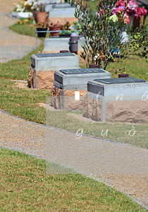 農(nóng)村房子被法院拍賣可以過(guò)戶嗎
