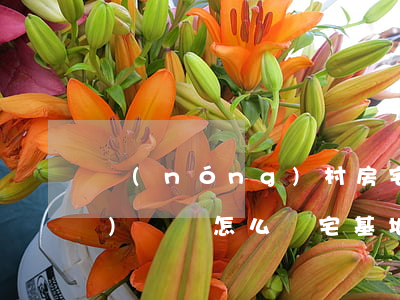 農(nóng)村房宅基地繼承協(xié)議書怎么寫(宅基地繼承申請書怎么寫)