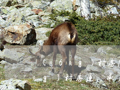 農(nóng)村房屋可以繼承嗎(農(nóng)村房屋繼承法新規(guī)定)