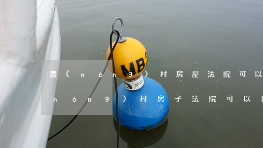農(nóng)村房屋法院可以拍賣嗎(農(nóng)村房子法院可以拍賣嗎)
