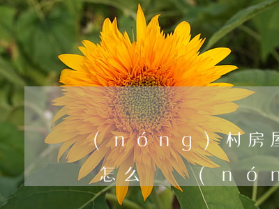 農(nóng)村房屋繼承協(xié)議書怎么寫(農(nóng)村宅基地繼承協(xié)議怎么寫)