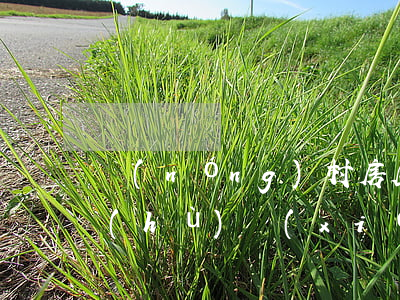 農(nóng)村房屋繼承過(guò)戶(hù)協(xié)議書(shū)怎么寫(xiě)
