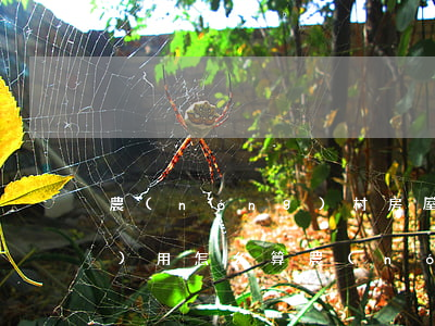 農(nóng)村房屋繼承過戶費(fèi)用怎么算(農(nóng)村自建房繼承過戶 費(fèi)用)