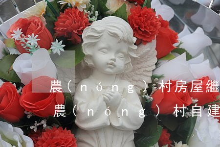 農(nóng)村房屋繼承過戶費用怎么算(農(nóng)村自建房繼承過戶 費用)
