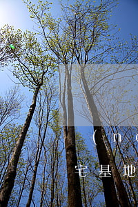 農(nóng)村房屋被繼承時(shí)宅基地使用權(quán)的繼承