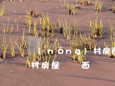 農(nóng)村房屋賠償(農(nóng)村房屋賠償面積)