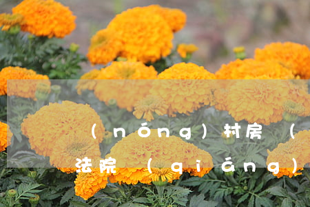 農(nóng)村房產(chǎn)可以被法院強(qiáng)制執(zhí)行嗎(農(nóng)村房產(chǎn)可以被法院強(qiáng)制執(zhí)行嗎)