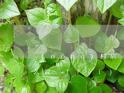 農(nóng)村房產(chǎn)繼承怎么收費(fèi)標(biāo)準(zhǔn)(農(nóng)村繼承房產(chǎn)過(guò)戶需要多少費(fèi)用)