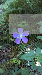 農(nóng)村承包土地侵權(quán)怎么辦(承包土地被侵占怎么辦)