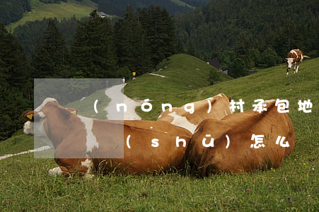 農(nóng)村承包地繼承協(xié)議書(shū)怎么寫(xiě)(農(nóng)村土地承包合同能繼承嗎)