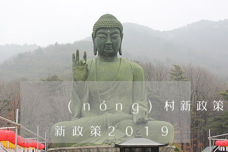 農(nóng)村新政策(農(nóng)村新政策2019)