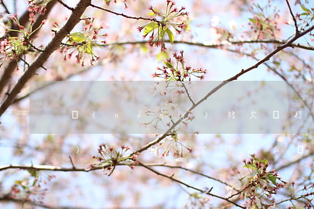 農(nóng)村欠錢打官司(農(nóng)村欠錢打官司怎么處理)
