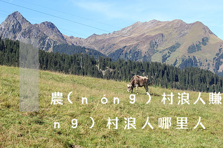 農(nóng)村浪人賺了多少錢(農(nóng)村浪人哪里人)