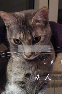 農(nóng)村無(wú)業(yè)殘疾人員無(wú)力償還怎么辦-農(nóng)村無(wú)業(yè)殘疾人員無(wú)力償還怎么辦理