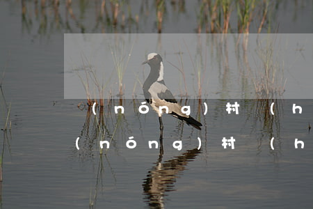 農(nóng)村環(huán)保問題(農(nóng)村環(huán)保問題與對策)