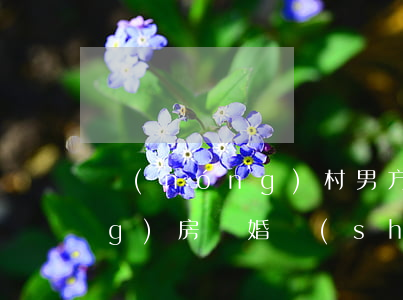 農(nóng)村男方婚前蓋的農(nóng)房離婚時(shí)歸誰(shuí)(農(nóng)村婚后蓋的房子離婚)